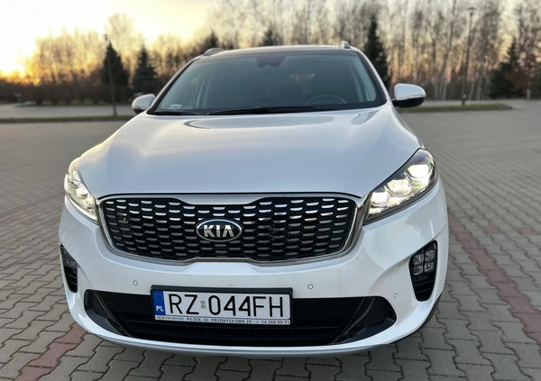 Kia Sorento cena 138000 przebieg: 49900, rok produkcji 2018 z Rzeszów małe 781